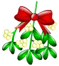 :mistletoe: